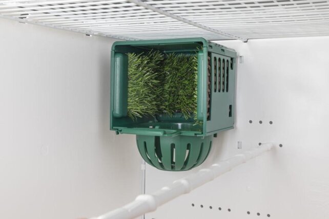 Kunststof nest met kunstgras