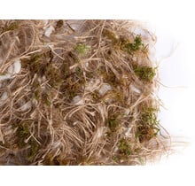 Sisal fibre jute katoen en mos