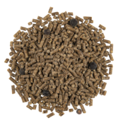 Cédé vogelkorrel universeel