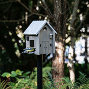 Multiholk Modern Nordic