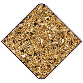 De Witte Molen base grote parkieten