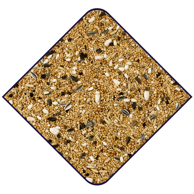 De Witte Molen base grote parkieten