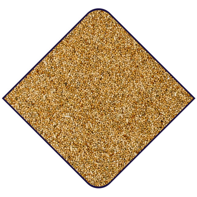 De Witte Molen Expert base grasparkieten