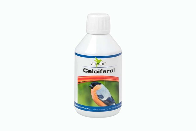 Avian Calciferol