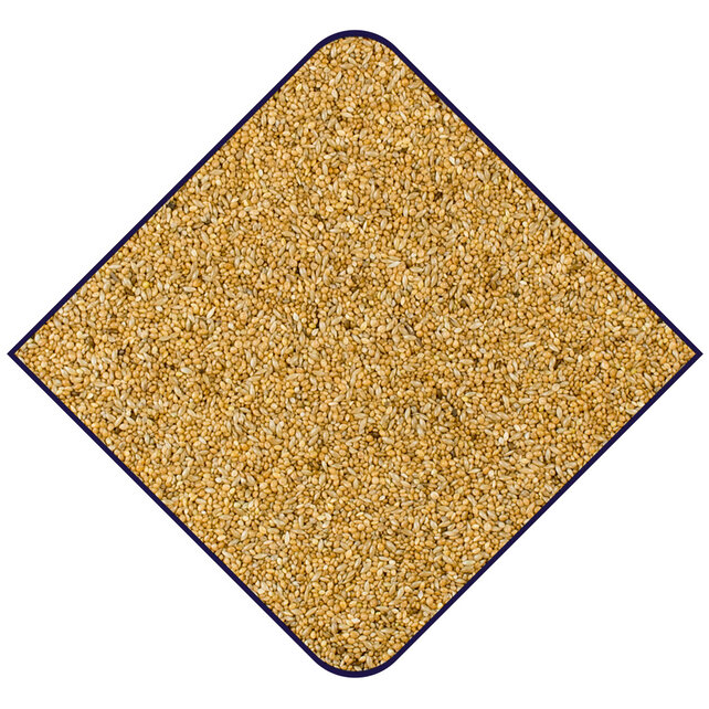 Expert base zebravinken II kweker 20kg