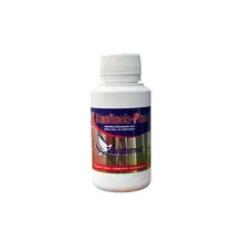 Knoflook plus 100 ml
