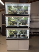 Stelling kunststof broedkooien met fotoprint en ledverlichting