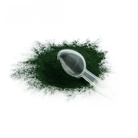 Spirulina voor vogels: natuurlijke ondersteuning voor conditie, kleur en weerstand