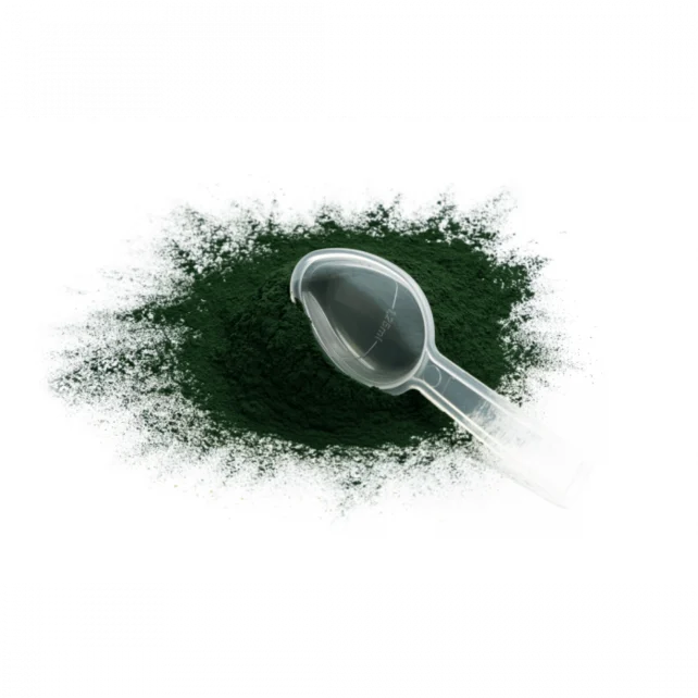 Spirulina voor vogels: natuurlijke ondersteuning voor conditie, kleur en weerstand