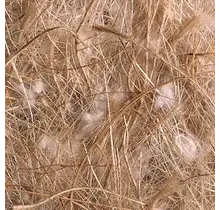 Nestmateriaal cocos-sisal-jute-katoen