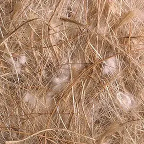 Nestmateriaal cocos-sisal-jute-katoen