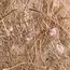 Quiko Nestmateriaal cocos-sisal-jute-katoen