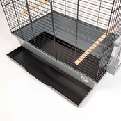 Vogelkooi Duvo Nina