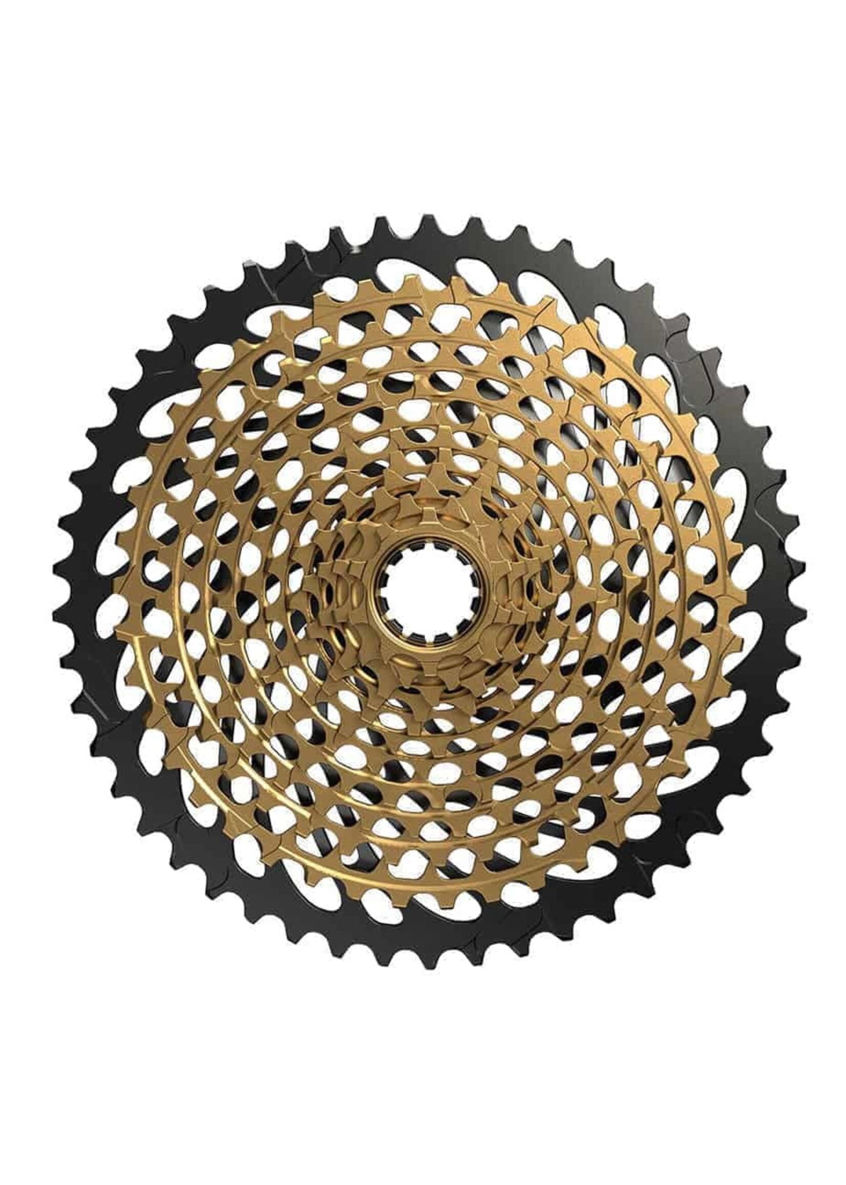 Mtb 12 speed cassette sale