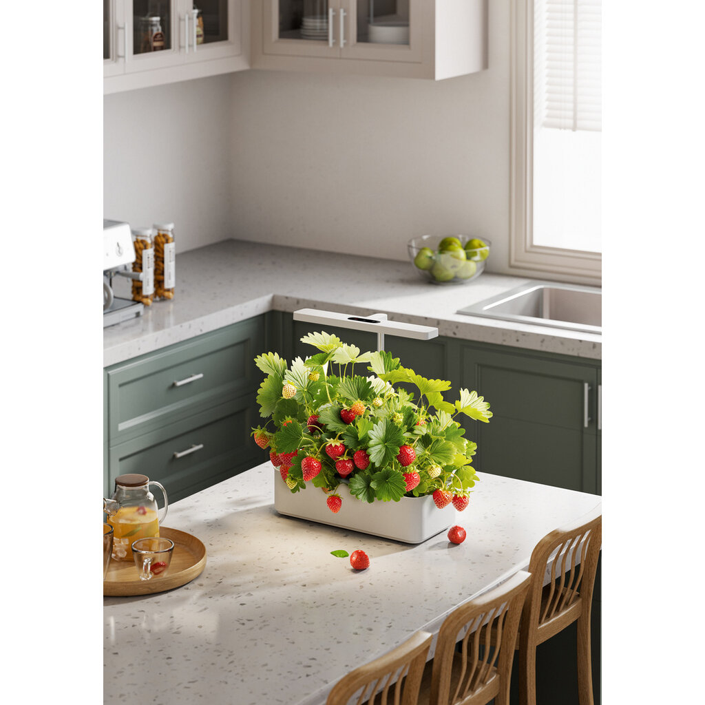 Wolff Mount Slimme zelf werkende kweekbak voor thuis - Zelf groentes kweken - Full-spectrum LED licht in hoogte verstelbaar - Water circulatie met filter - 12 planten pots - Cadeau TIP