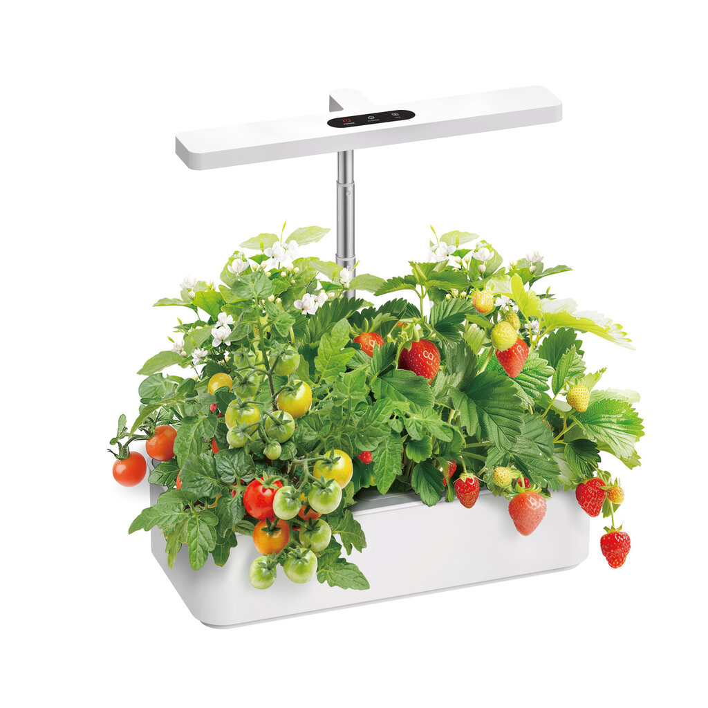 Wolff Mount Slimme zelf werkende kweekbak voor thuis - Zelf groentes kweken - Full-spectrum LED licht in hoogte verstelbaar - Water circulatie met filter - 12 planten pots - Cadeau TIP