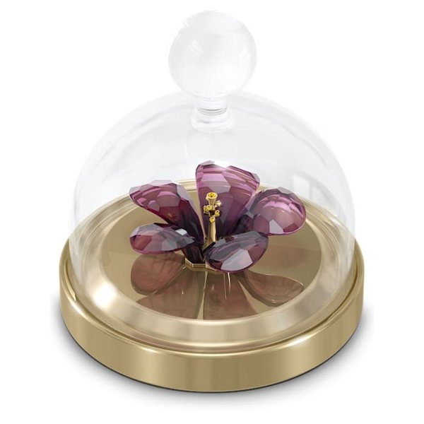 Swarovski Swarovski Kristal Garden Tales: Bell Jar Hibiscus S 5619224
