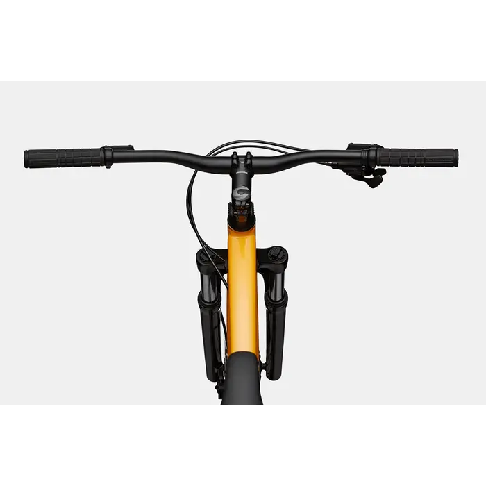 Cannondale Trail 5