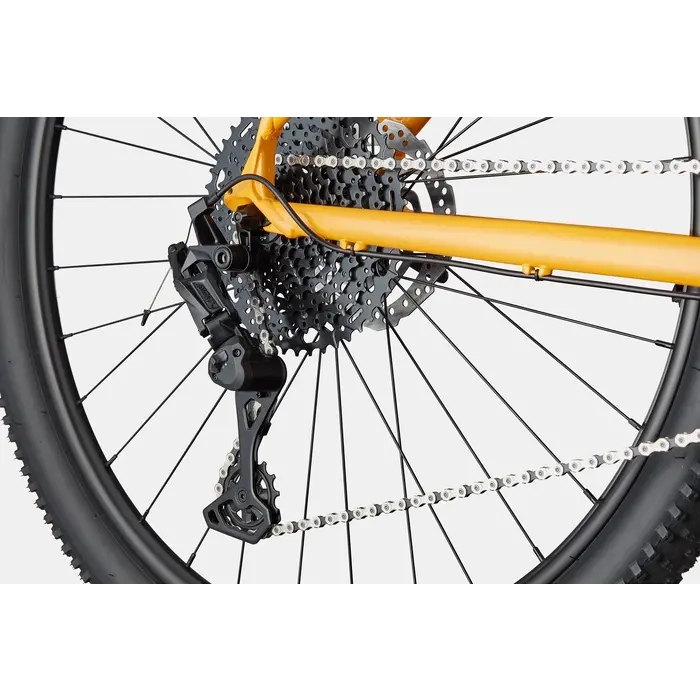 Cannondale Trail 5