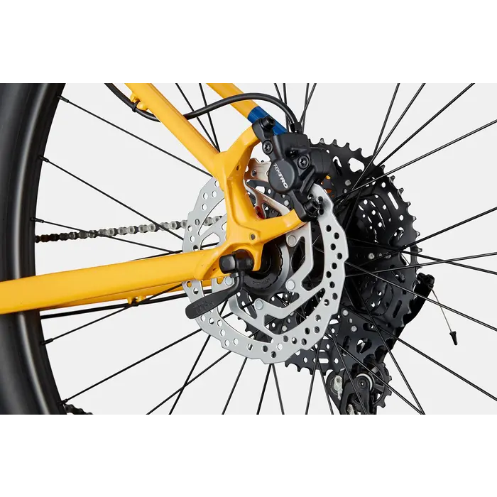 Cannondale Trail 5