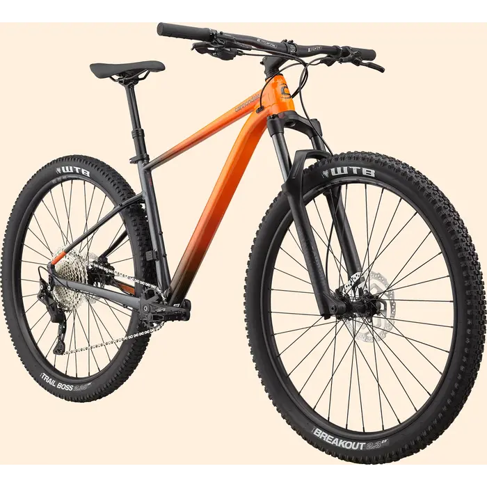 Cannondale Trail SE 3