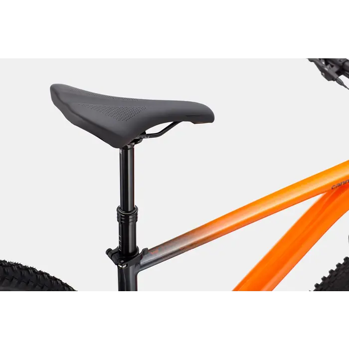 Cannondale Trail SE 3