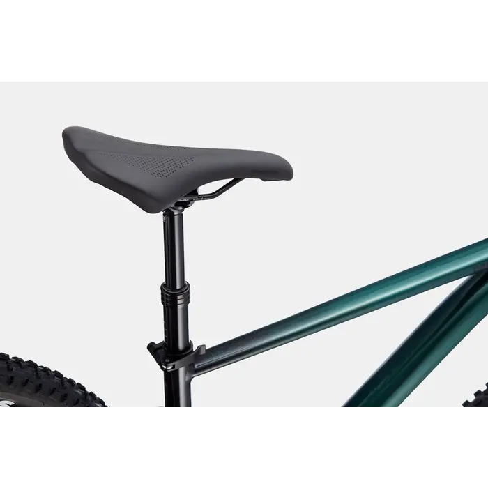 Cannondale Trail SE 2