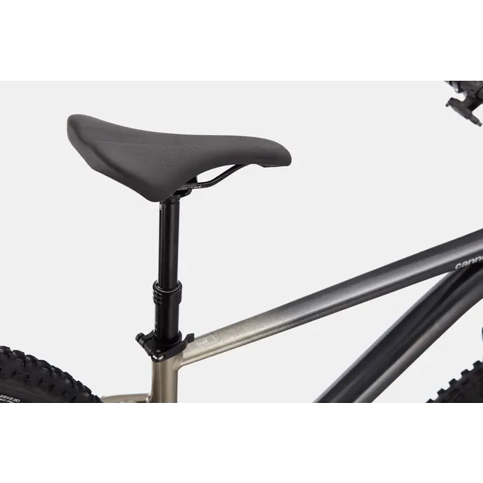 Cannondale Trail SE 1