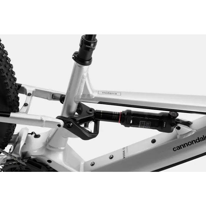 Cannondale Moterra Neo 3