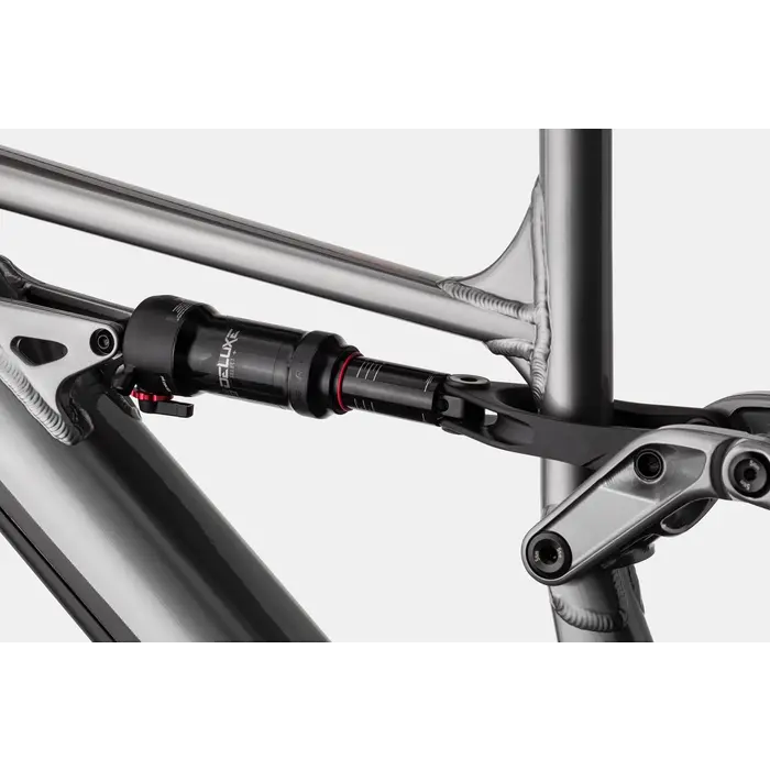 Cannondale Moterra Neo 4