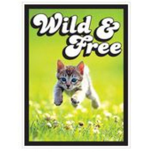 Legion Legion YGO Sleeves Gloss Kitten Legion Legion YGO Sleeves Gloss Kitten