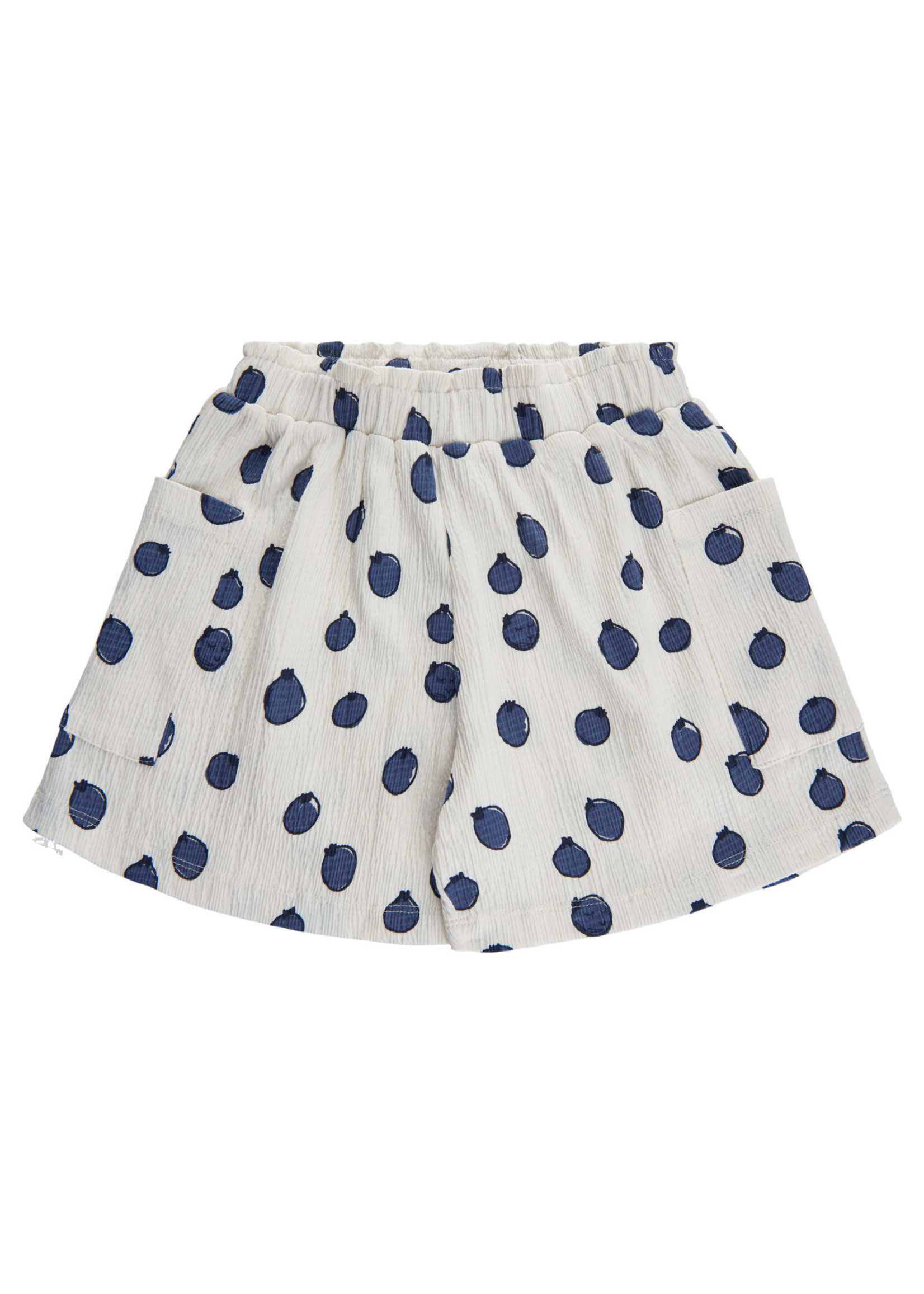 Soft Gallery SGHeidi Blueberries Shorts