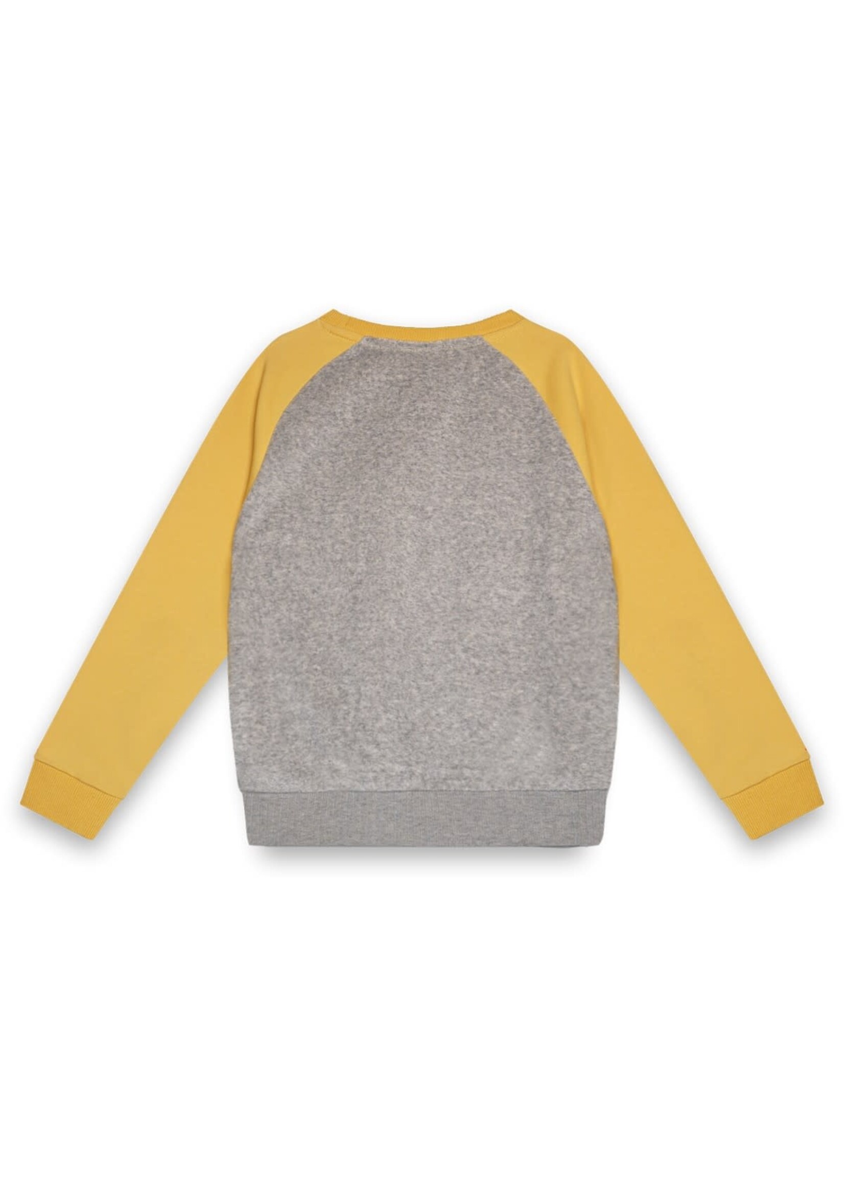 SCM SCM-Charlie ss raglan MAD