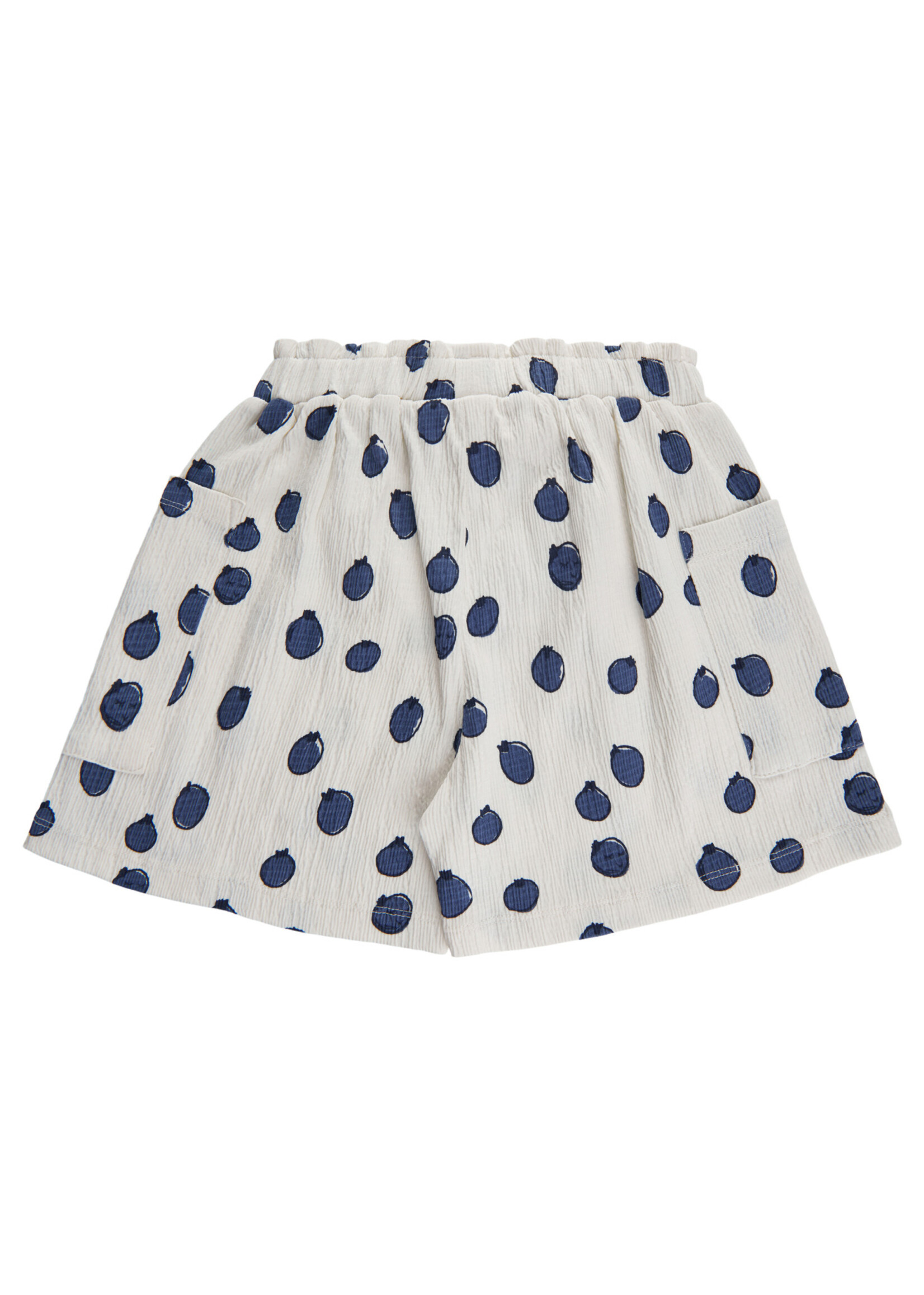 Soft Gallery SGHeidi Blueberries Shorts