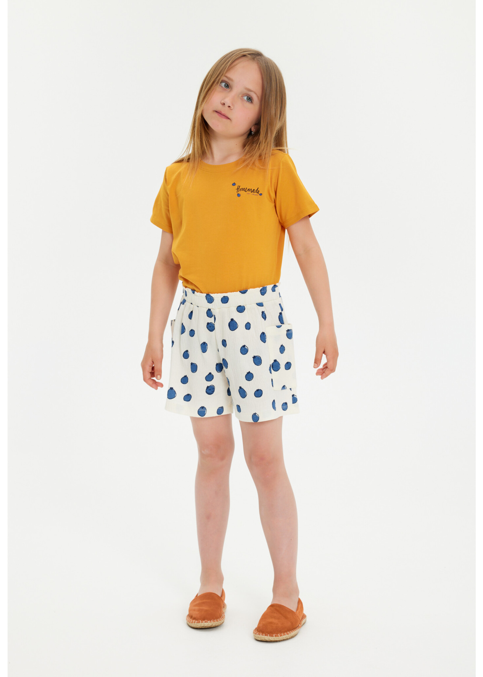 Soft Gallery SGHeidi Blueberries Shorts