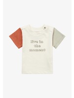 Noppies Noppies-Boys Tee Maroa short sleeve