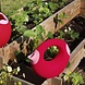 Quut Quut Cana gieter Cherry Rose 1L Quut Quut Cana gieter Cherry Rose 1L