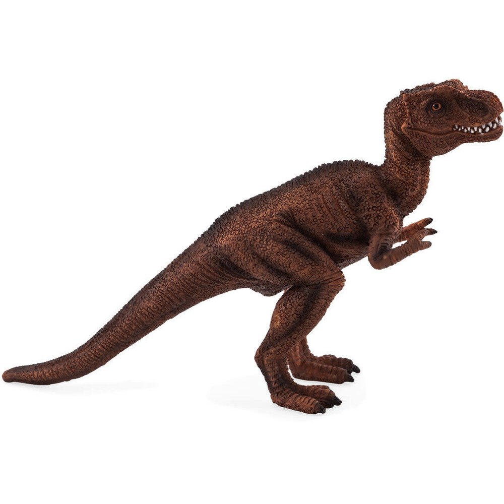 Tropisch Oude man Fantasierijk Mojo Mojo Dinosaurus Baby T-Rex - Speelgoedwinkel Speel je Wijs