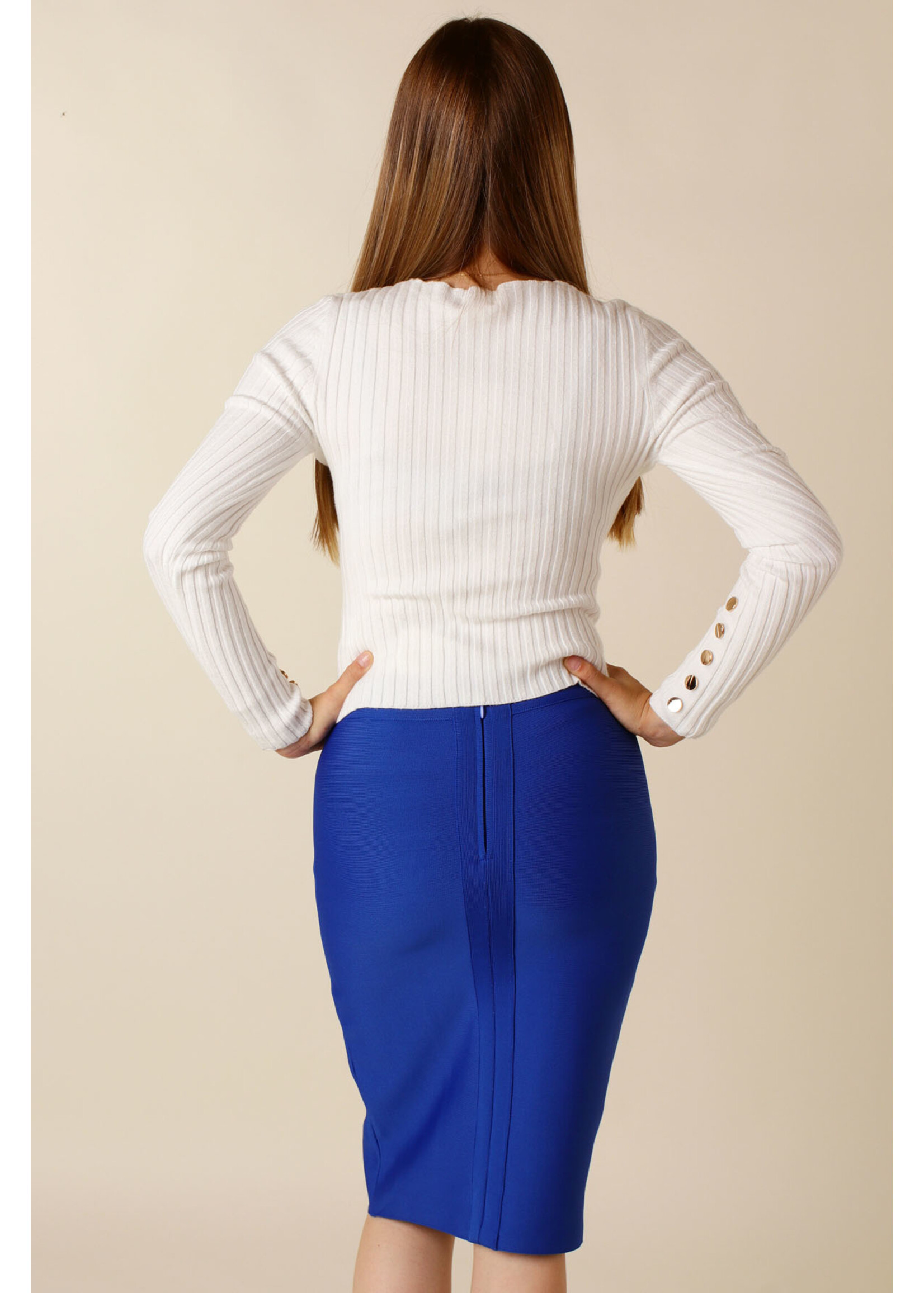 Moocci Fitted Skirt - BLUE