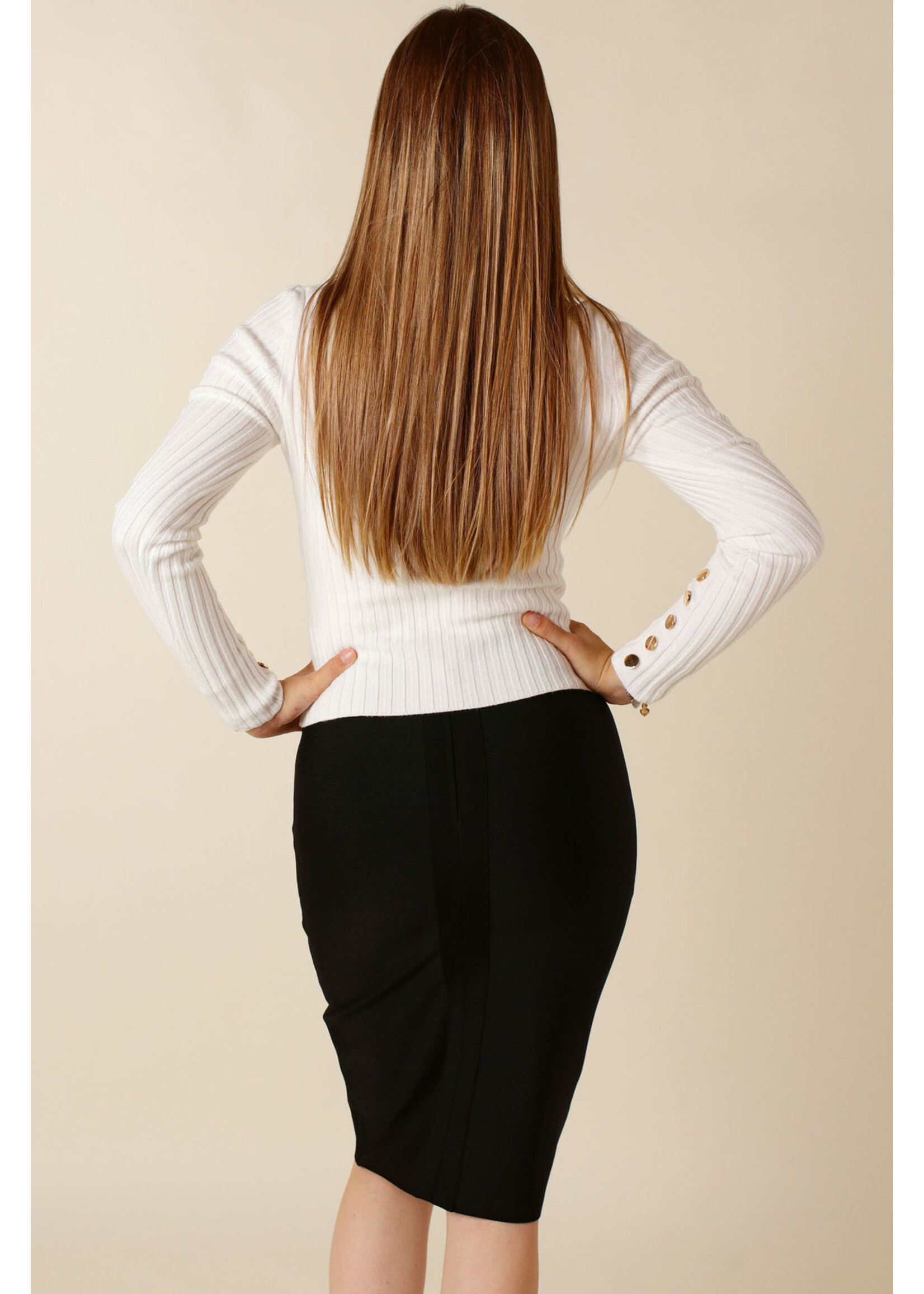 Moocci Fitted Skirt - BLACK