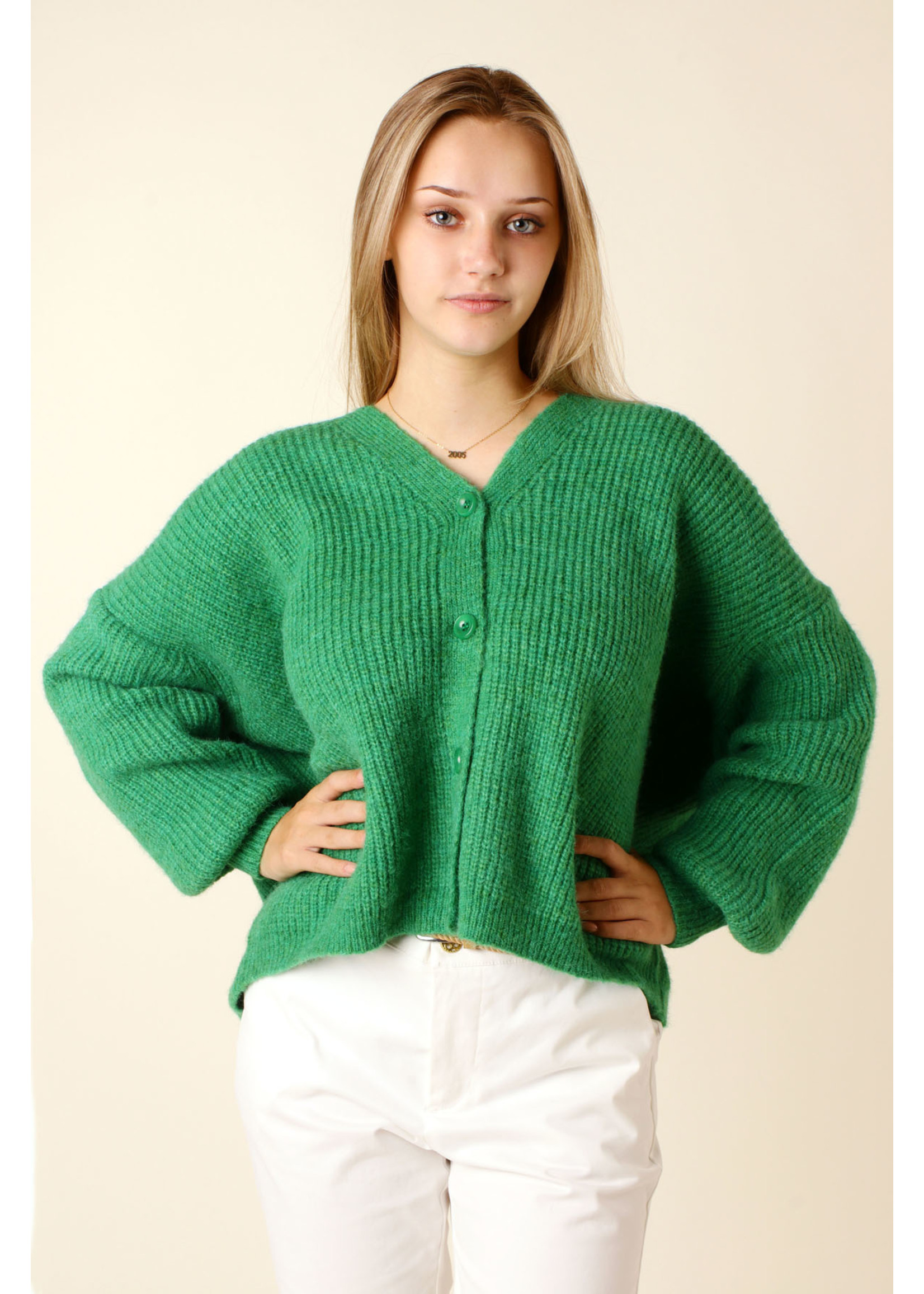 Moocci Gilet - GREEN - TU