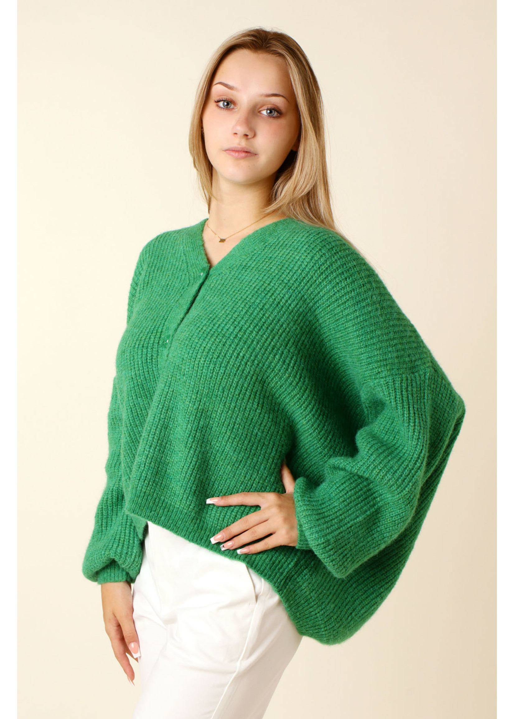 Moocci Gilet - GREEN - TU