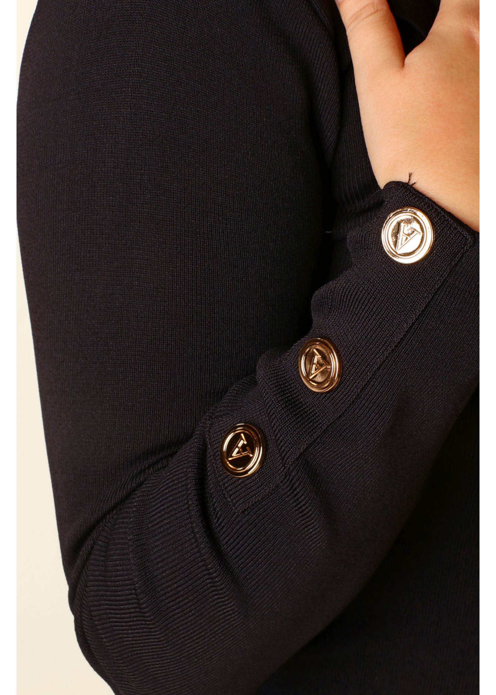 Allyson Fitted Dress Buttons - BLACK
