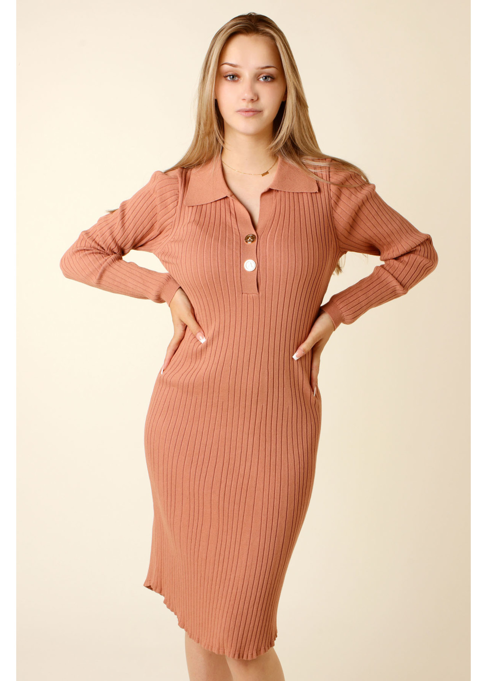Allyson Fitted Dress 2 Buttons - TAUPE
