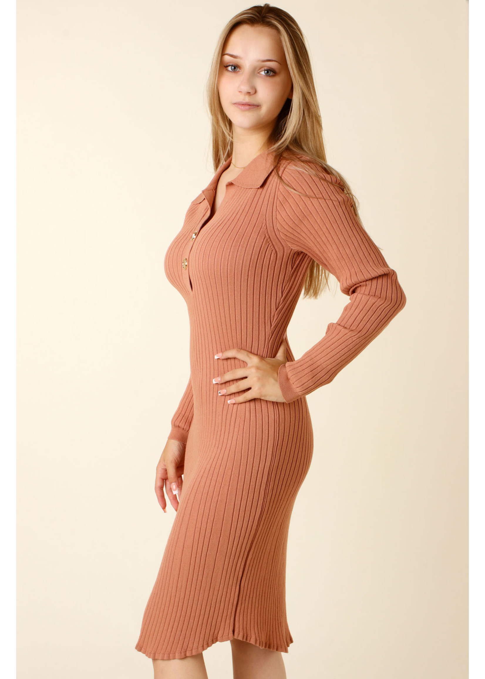 Allyson Fitted Dress 2 Buttons - TAUPE