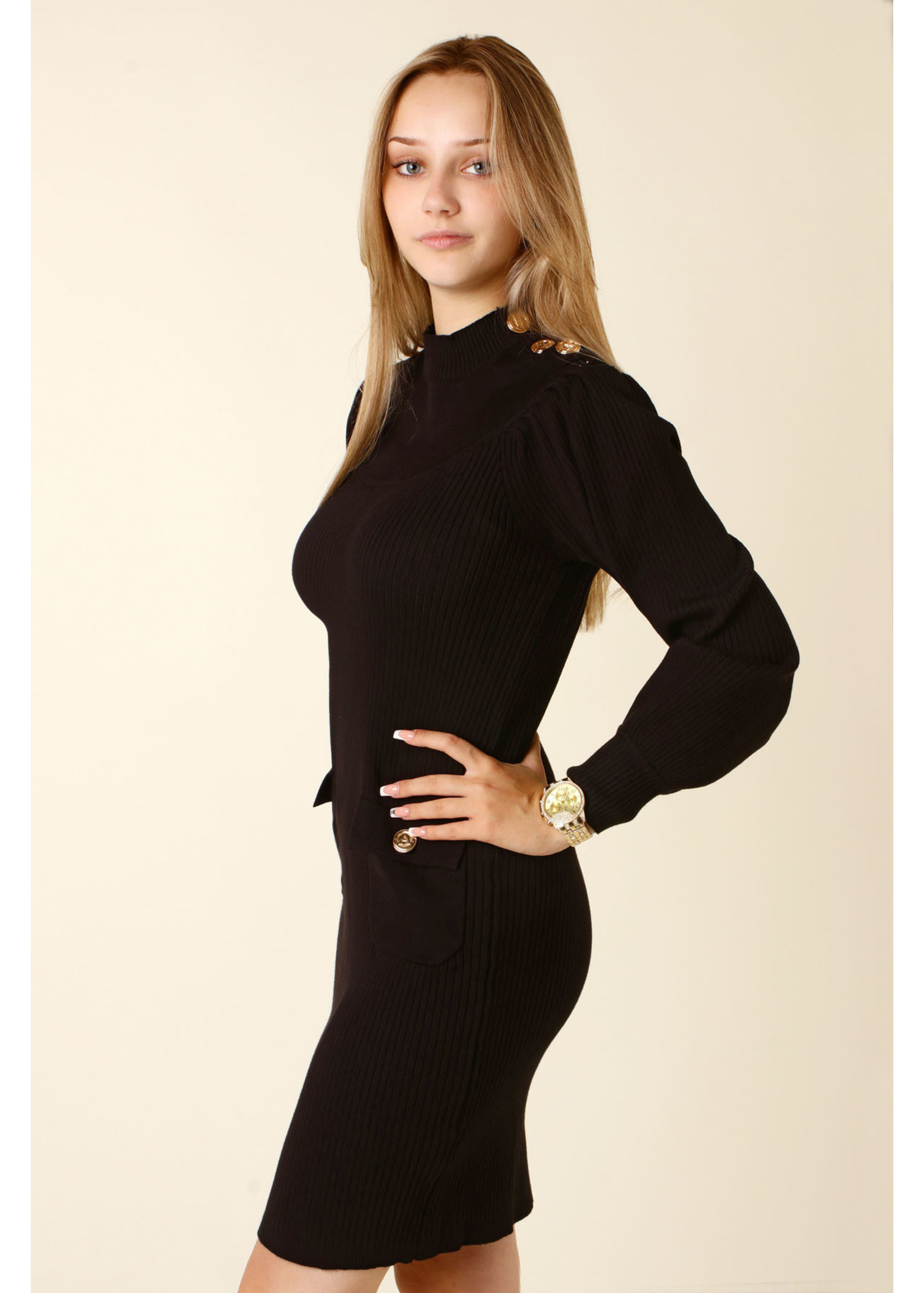 Allyson Fitted Dress with Buttons - BLACK