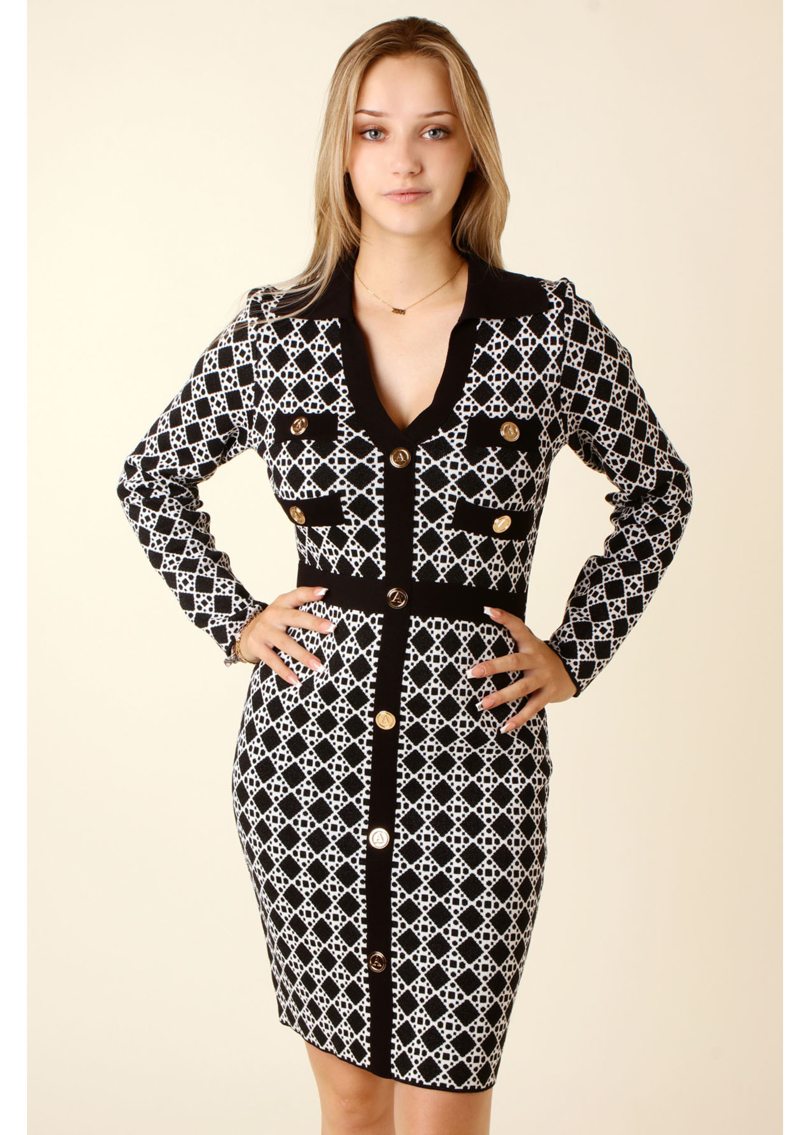 Allyson Fitted Dress Buttons - BLACK n WHITE
