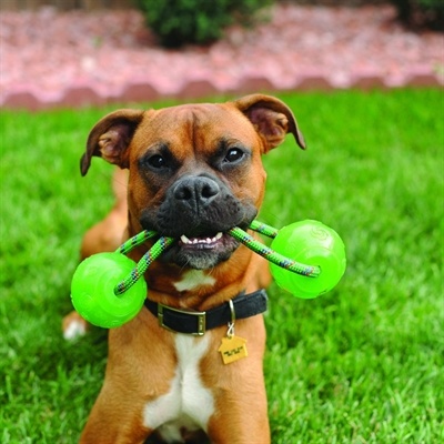 Kong squeezz ball met handvat