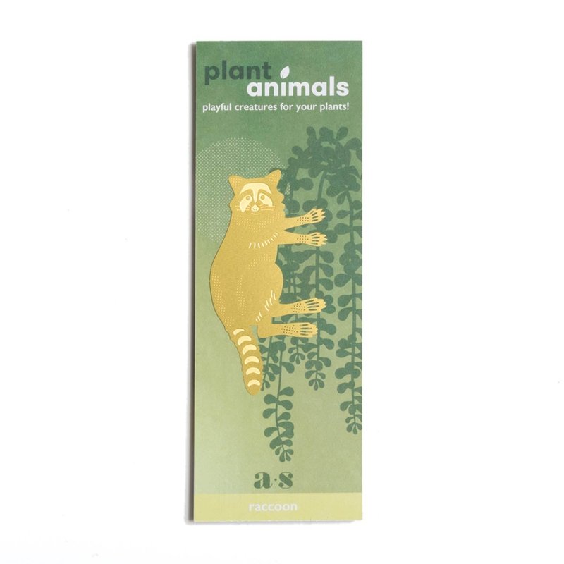 Plant animal raccoon - Kiem Plant animal raccoon - Kiem