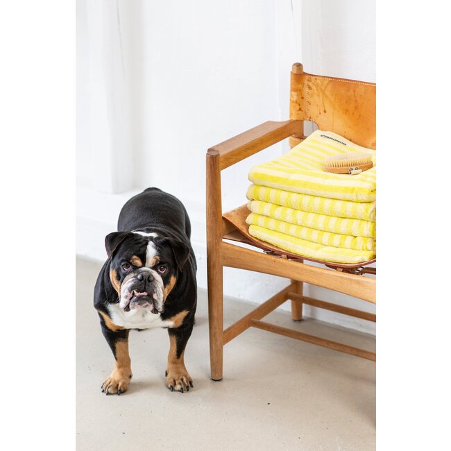 Naram Guest Towels pristine & neon yellow